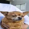 .luudde
