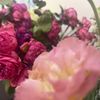 ms_alsaaedi