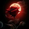 user7816461650402