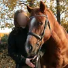paavoequestrian