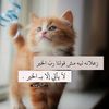 amiraabdelmohse62