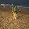 kendy_307