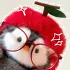 nangnho2410