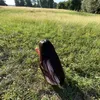 ixoo_69
