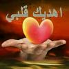 alsaqr_s