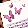 eva_12.a