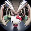 jacquelinek.dc