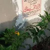 afnanghazy411