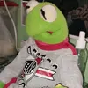 el_kermit_con_lentes