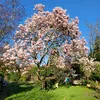 simoncarter_uk