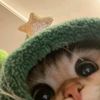 niaa_ajaww