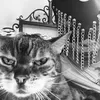ogcatwoman1