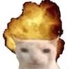 trumspeedup_nhat
