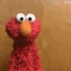 bigbird9900