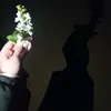 barbaradoy3