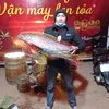 manhnguyen_878