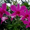 liamwrd_02