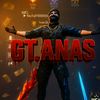 anas_2041