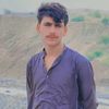sherani493
