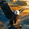 shafiqafridi0022