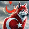 sabahattin.altu