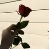 fatemashamim88gmail
