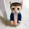 pandy1117