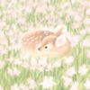 chaelyn_00