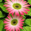siddiq3293