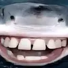 dyfjqy8xje66