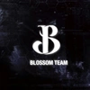 Blossom_Team