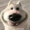 dkhoaffx1