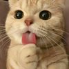 hello_07o7