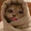 lapagannghinanakit