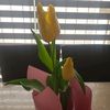 momcr0107