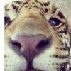maria_andreou2