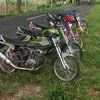 glseries68