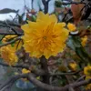tuan_nguyen949