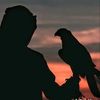 userejm03vncjr