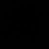 c...213