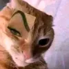 dyqsajeiyt9m
