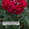 3abudhabi