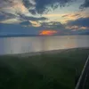 maia_doherty