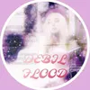 debil_flood