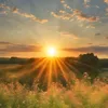 sun_0307_