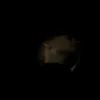 xxxzcq1