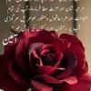 yasmeen.khan237