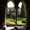 rosalorenzana15