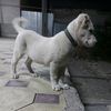 nadira_eliyar