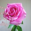 amaniadnan619